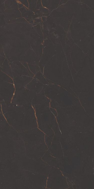 Galaxia Black Matte 12 x 24